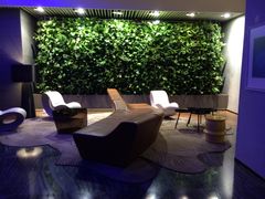 -上海外滩英迪格酒店