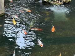 -枫桥景区