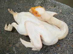 -臭桂鱼儿特色餐厅(朝晖七小区北区店)