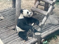 -大连森林动物园