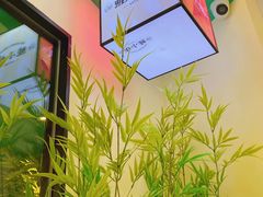 -蛙小侠(五象万象汇店)