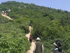 -灵岩山风景区