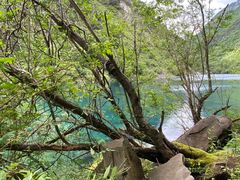 -叠溪松坪沟景区