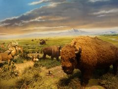 -陕西自然博物馆