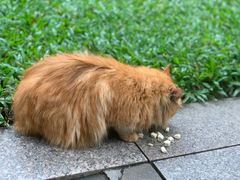 -广州珠江公园