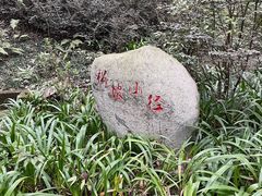 -铁山坪森林公园