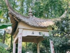 -亭林公园