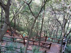 -大岭沟猕猴桃谷风景区