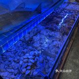 今天去这里——青岛老城菜馆