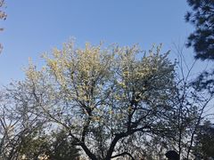 -艾溪湖湿地公园