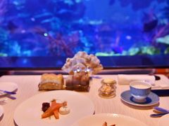 -迪拜帆船酒店海底餐厅