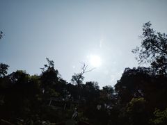 -九龙江国家森林公园