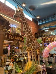 点击看大图 -卡通尼·Safari非洲探索乐园·生日会(金桥国际商业广场店)