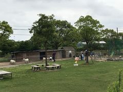 -上海长兴岛郊野公园