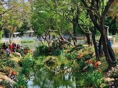 -人民公园(罗湖区)