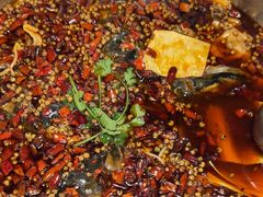 -味之绝热血美蛙鱼火锅(中坝店)