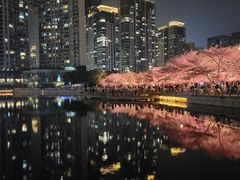 -西北湖绿化广场