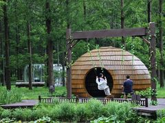 -黄海国家森林公园