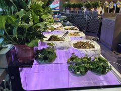 -额尔敦·品质自助(摩尔城店)