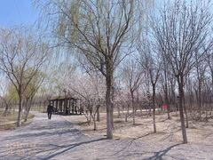 -西青郊野公园