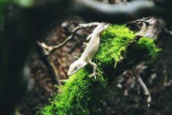 -酷嗒动物文化乐园(cutezoo西溪乐天城店)