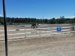 -月河湾马术俱乐部(朝阳店)