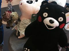 -PAWTOY爪e玩偶店(天兴罗斯福店)