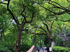 -城隍阁