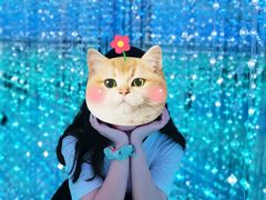 -南昌梵高星空艺术馆