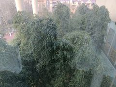 -西安国际创新人才交流中心•药浴温泉