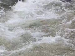 -宁乡沩山龙泉漂流