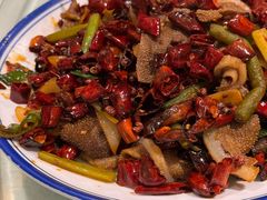 -福苗小骆驼烧烤(大唐不夜城店)