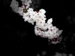 -幕燕滨江·长江观音景区
