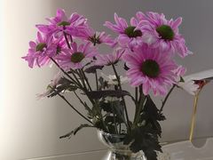 -峰厨大鱼泡饼(西青大学城店)