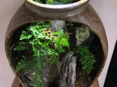 -月栖华明-云间草堂清茶馆(泗泾古镇店)