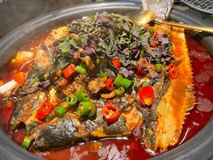 -探鱼·鲜青椒爽麻烤鱼(朝阳悠唐广场店)