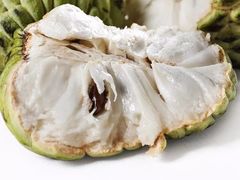 -瑞可爷爷的店(难波本店)