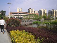 -飞凤山奥体公园