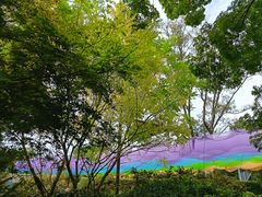 -鸡毛店·川菜(双楠店)