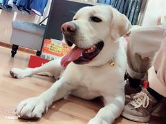 -万达广场(南京江宁店)