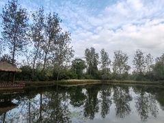 -溱湖国家湿地公园