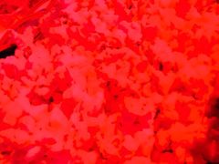 iphone_upload_pic-光阴的故事音乐酒吧(1905店)