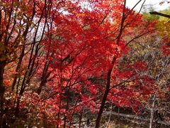 -本溪老边沟风景区