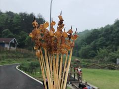 -清泉阁包子饺子·刀削面(五一店)