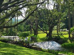 -云溪植物园