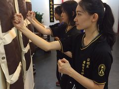 -温鉴良实用咏春拳