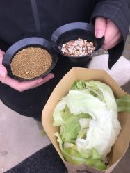-上美四季动物农场