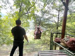 -藏龙百瀑风景区