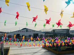 -君乐宝优致牧场