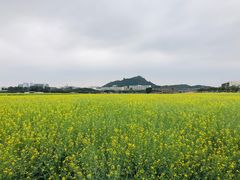 -光明小镇欢乐田园